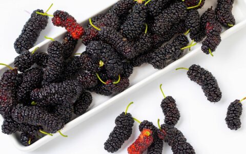 原创
桑葚干的功效与作用，桑葚干泡水喝一次放多少粒（桑葚干泡水功效与禁忌）