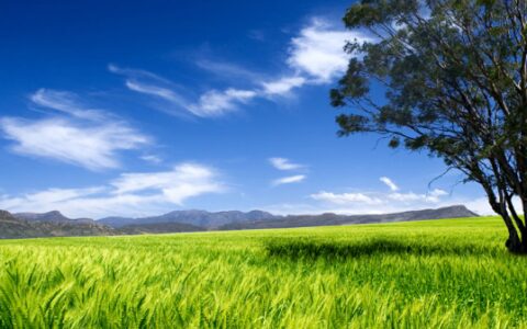 原创
脑筋急转弯：女人内裤的作用，打一个车子的品牌，答案好内涵！-女人的内裤打一个汽车名字