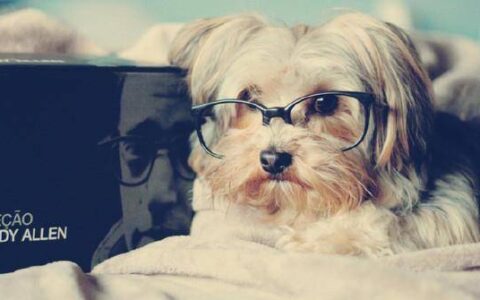 原创
男女眼中，幸福的日子到底是什么样子的？-男女幸福是什么意思