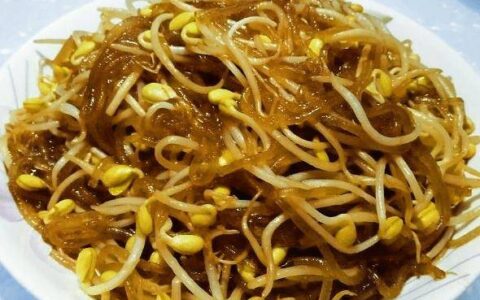 原创
炒豆芽加一物，好吃又下饭，色斑消失了，养颜又减龄，轻松瘦下来（炒豆芽菜的方法）