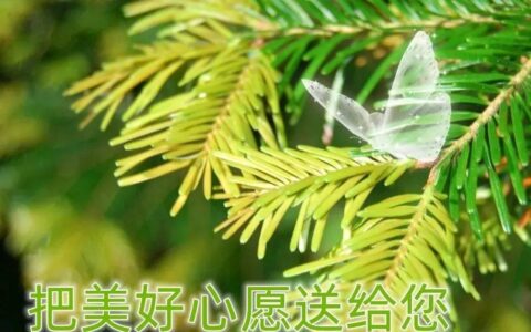 原创
6月7日最新早上好图片精选 早上好图片鲜花带字问候-2021年6月早上好动画表情