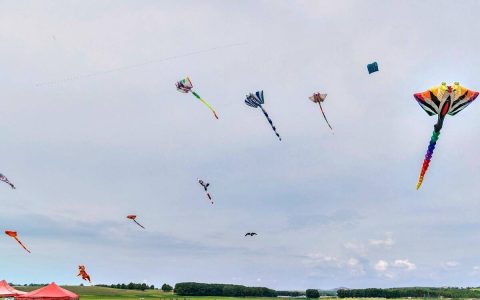 风景这边独好作文300字 风景这边独好400字作文-风景这边独好作文600字作文