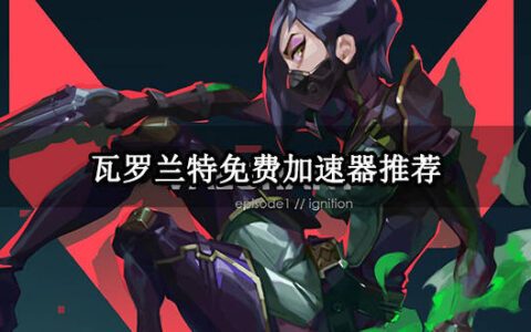 瓦罗兰特免费加速器推荐 好用的免费加速器分享-瓦罗兰特加速器哪个好用