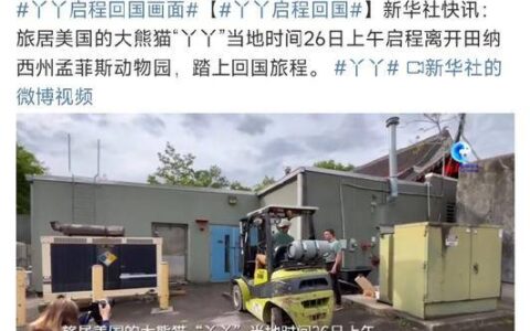 “丫丫”回国后首次露面 终于顺利回归 平安落地-丫丫什么时候回国