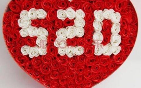 原创
520是什么意思 520是什么日子-520 是什么意思?