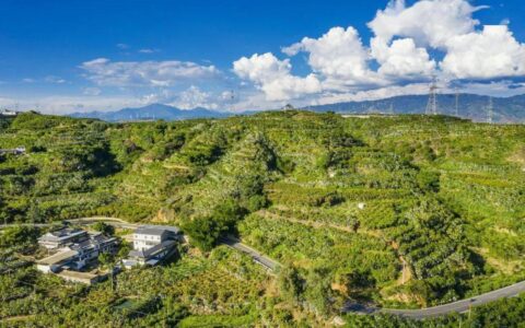 忙，忙，忙！混撒拉村“芒起来”了（忙しい 忙しない）
