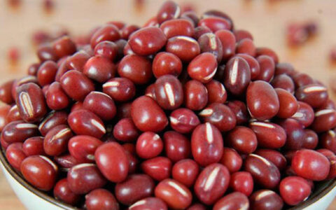 赤小豆的功效和作用-赤小豆的作用和功效是什么