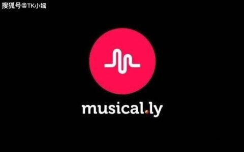 跨境电商&TIKTOK：什么是TikTok竞价广告？-tiktok海外竞品