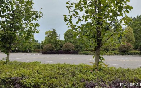 我的小秘密作文300字三年级下册，我的小秘密作文400字三年级-我的小秘密作文500字三年级