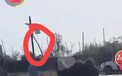 太恶劣了！景区工作人员公然棒打骆驼直至骆驼跪地求饶（投诉景区工作人员找哪个部门投诉）