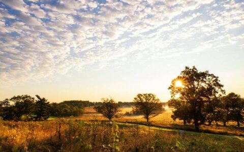早上暖心正能量句子（适合早上发朋友圈的句子）-早上发的正能量的朋友圈