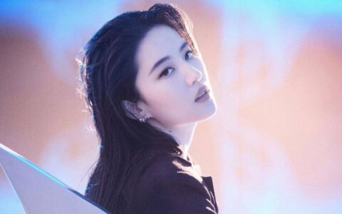 刘亦菲曾被韩国女生霸凌，难道韩国学校不管校园霸凌事件-韩国媒体报道刘亦菲家世的视频是真的吗