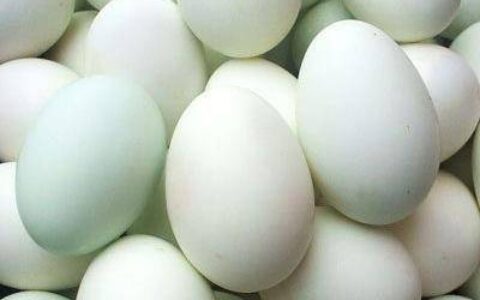 原创
蛋糕最简单的家用做法（秒懂百科蛋糕做法）