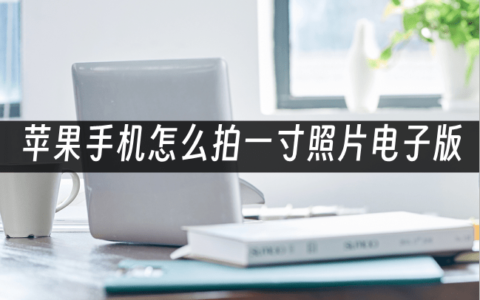 苹果手机怎么拍一寸照片电子版？详细拍摄指南分享-如何用苹果手机照一寸照片电子版
