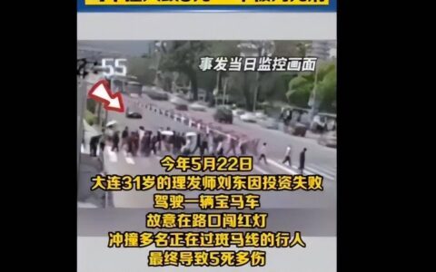 开宝马撞死5人男子被执行死刑，咋隔了两年这么长时间？（宝马车撞死五个人视频播放）