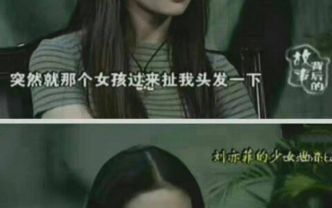 刘亦菲曾被韩国女生霸凌-刘亦菲韩国人电视剧