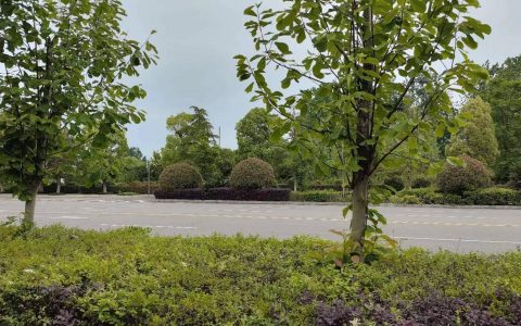 小学作文300字大全集三年级，小小学作文300字大全集四年级！-小学作文300字范文