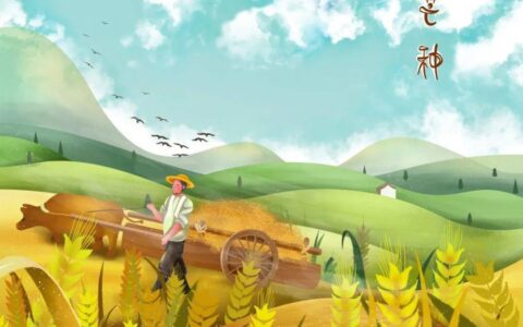 今日芒种：芒种忙种，一举高中（唐元稹芒种看今日）