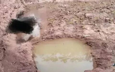 四川一起三姐弟全部不幸溺亡，年龄分别为3岁、7岁和10岁