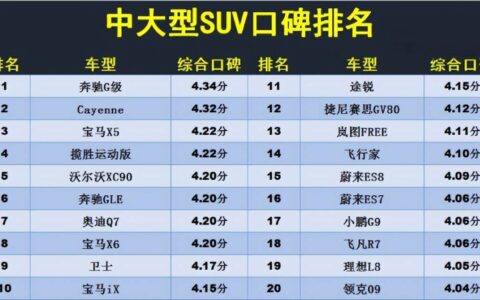别乱买！中大型SUV口碑排名，前十0国产品牌，比亚迪未入榜-国产品牌中大型suv排名前十名
