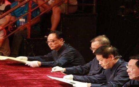 原创
小伙拿翡翠原石去鉴定，自己估价4个亿，专家：两倍不止-翡翠原石检测