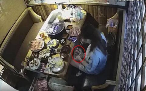 女子吃自助餐5顿点菜4万多，偷偷打包被补交44543元，网友说：活该-吃自助餐全程视频