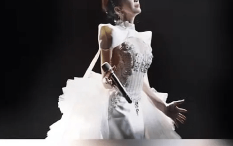 李玟去世陷入罗生门，姐姐开撕丈夫乐裕民，争产大战一触即发-李玟的资料