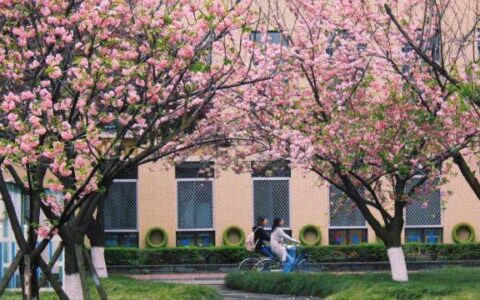 原创
西南石油大学分数高不高？性价比最优选，放心报考！-西南石油大学2020年多少分能录取