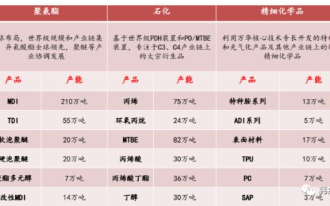 个股分析之万华化学-万华化学股票600309