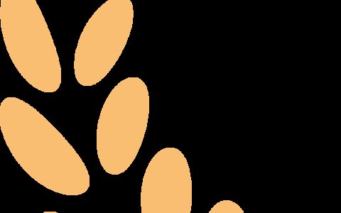 西北公司“85后”年轻后备干部培训班学员心得体会（三）-年轻后备干部选拔的主要程序