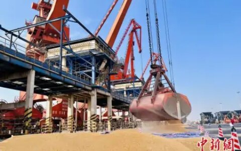 中国首次散船进口巴西玉米 输华走廊正式打通-今日进口玉米港口最新报价查询