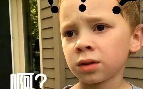 业委会成员每年700元津贴引质疑！宁波业主震怒：无人提这笔费用-业委会的补贴从哪里来