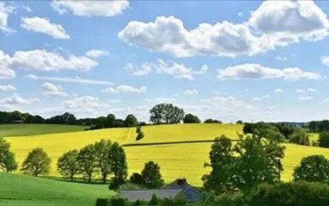 贾平凹经典语录-贾平凹精辟句子