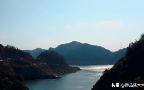 贾平凹：人生的真正意义，在于淡定从容地过这一生-贾平凹谈人生的意义