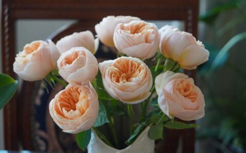 贾平凹：学会拒绝-学会拒绝别人的经典句子图片