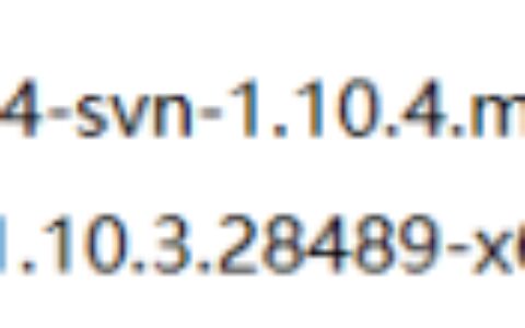 SVN详细安装教程-svn安装教程 win10