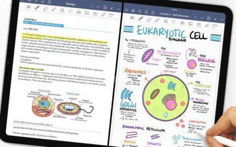 GoodNotes现在可免费下载-goodnotesios免费下载