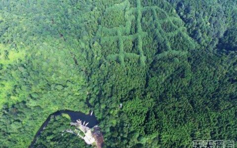 成都惊现神秘“犇”字形图案，或是先人留迹？-成都图标logo