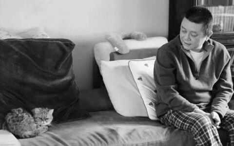 青年一代看王朔：为何他的读者越来越少？-王朔谈代表