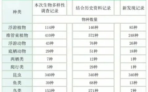 武汉这里，新发现739个物种！-武汉市发现