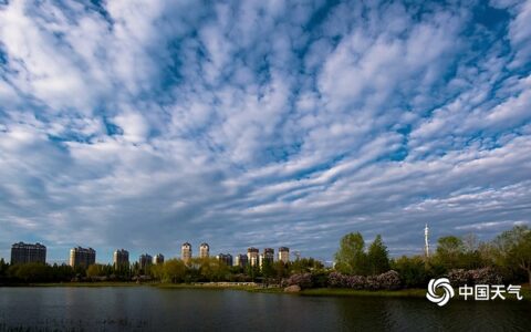 哈尔滨雨后蓝天白云 视野宽阔舒畅-哈尔滨天气下雨时间查询