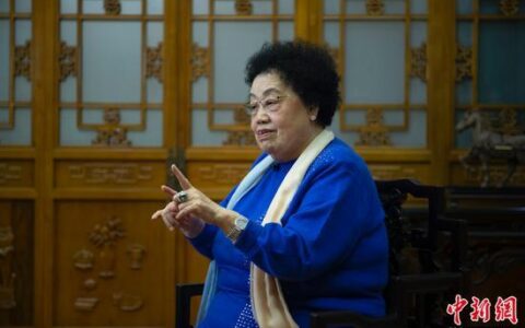 以“匠心”传承文化 陈丽华的紫檀故事-陈丽华老师紫檀博物馆