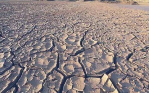 6月5日｜世界环境保护日-6月5日世界环境保护日手抄报内容