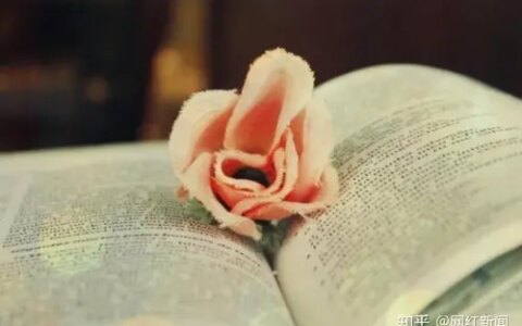 徐良吸D史被莹少爆出，朋友同事纷纷指责徐良人品极差，阴险小人-徐良被抓