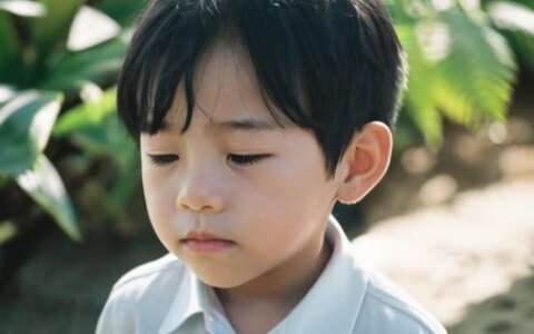 爆款！高质量书刊《影视摄影技艺》，柔软生动的描写令人叹为观止！-影视摄影技术基础知识