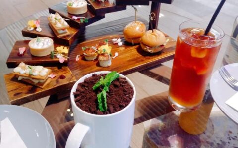 后来，我们都活成了自己曾经讨厌的模样-后来活成了当初最讨厌的自己是什么歌