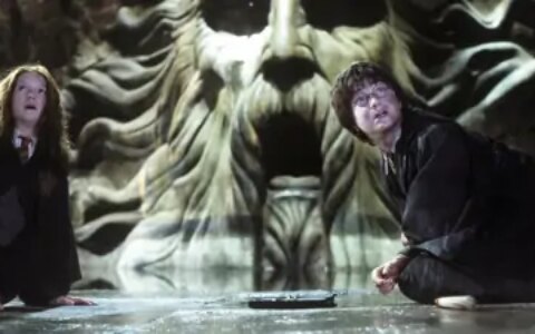 《哈利波特》：在密室里被石化的学生，最不幸的是桃金娘！-哈利波特里面的桃金娘