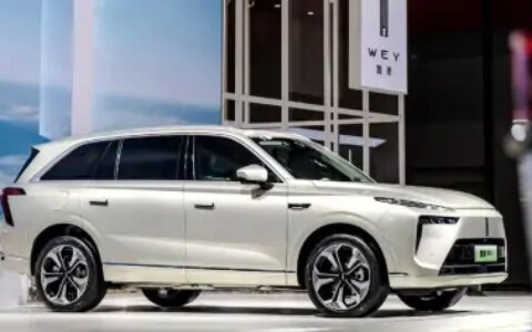 5天卖出1000辆！蓝山证明：魏牌卖不好不是因为名字！-蓝山涉及38人案件