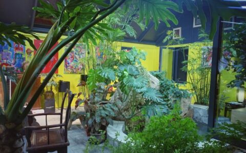 室内花园陶艺精品课 | 第二期开始报名！-陶艺室内布置与设计方案