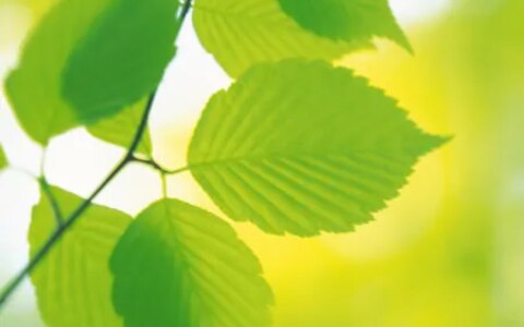 形容词构成-形容词构成法